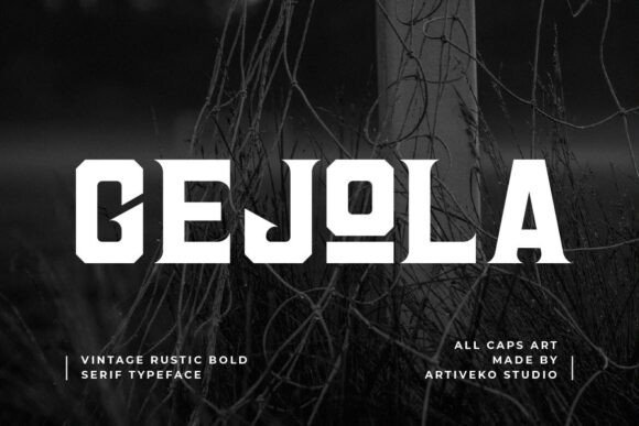 Gejola Serif Font: Vintage Boldness for Modern Marketing