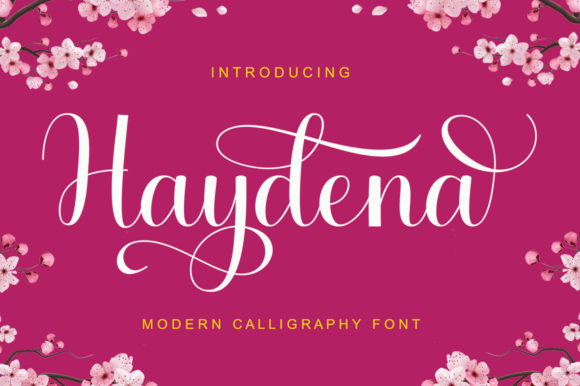 Haydena: A Script Font for Editorial Storytelling
