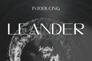 Leander: A Web Designer's Review of This Versatile Sans Serif