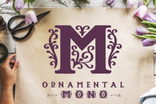 Ornamental Mono Review: A Decorative Serif Font with Delightful Details