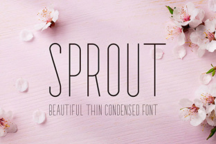 Sprout: A Hands-On Review for Brand & Marketing Work